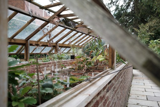 Greenhouse with windows open